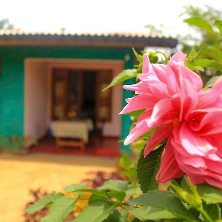 Yoho Nilmini Homestay Ella Exterior foto