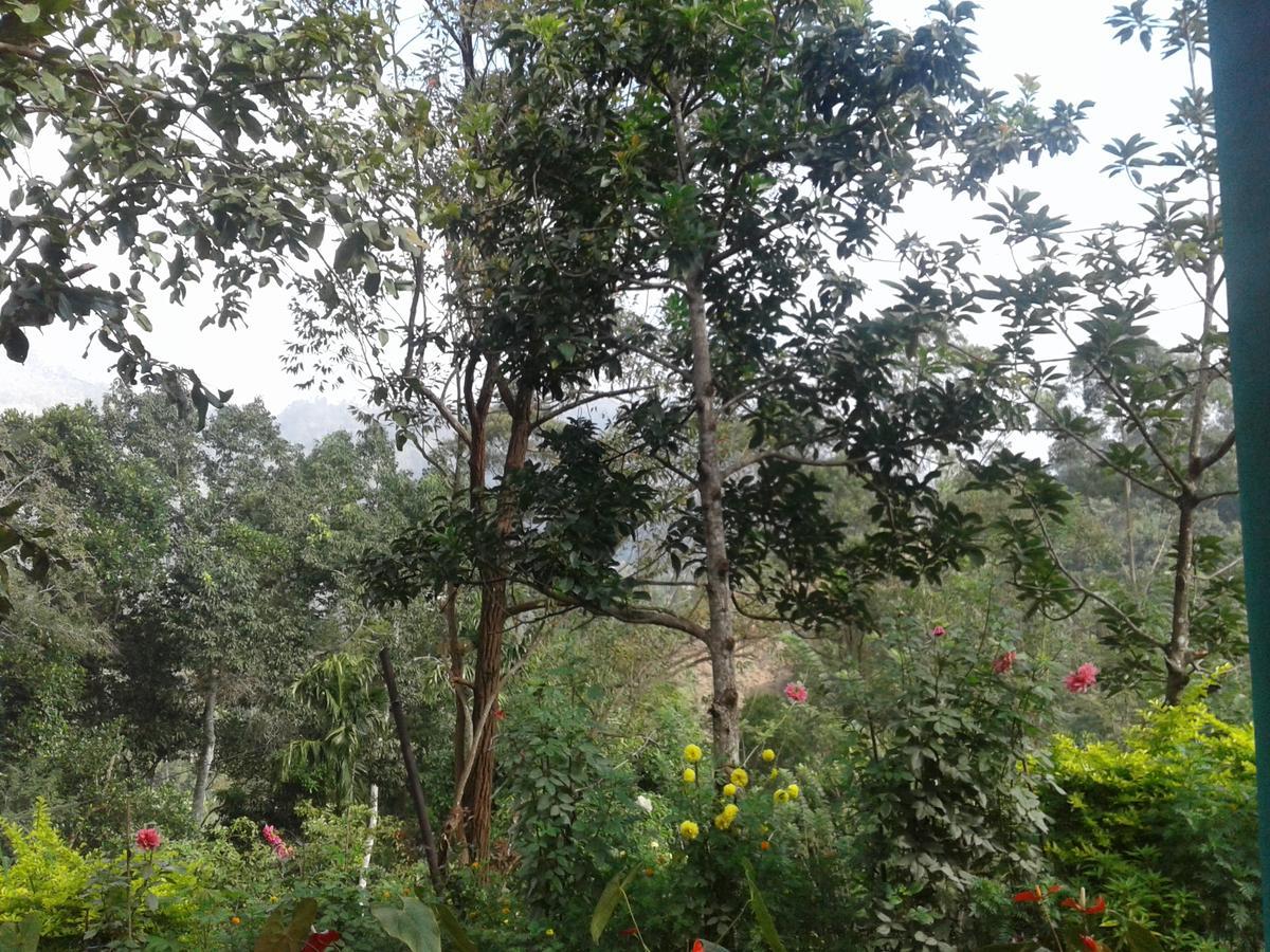 Yoho Nilmini Homestay Ella Exterior foto